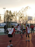 IMG 7508